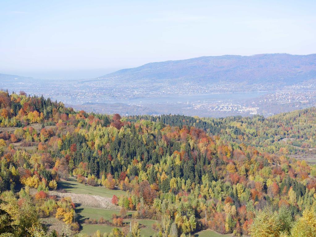 Apartamenty Przy Hotelu Zywieckim Przylekow Buitenkant foto